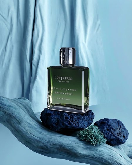 Abuse of Power (Alexandria) Carpenter