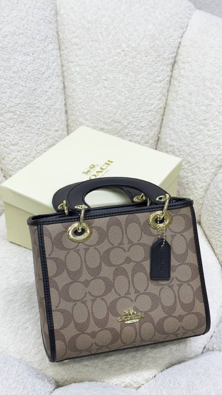Coach mini tote bag