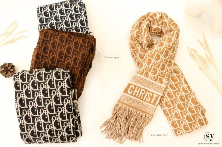Christian Dior Scarfs